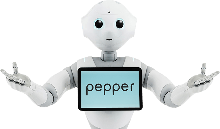 試行錯誤の使い方 ヒト型ロボット Pepper の開発は2年の試行錯誤があった の 意味と使い方辞典 四字熟語データバンク 一覧
